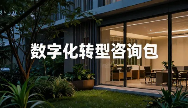 数字化转型咨询包的性能评估与适用场景分析